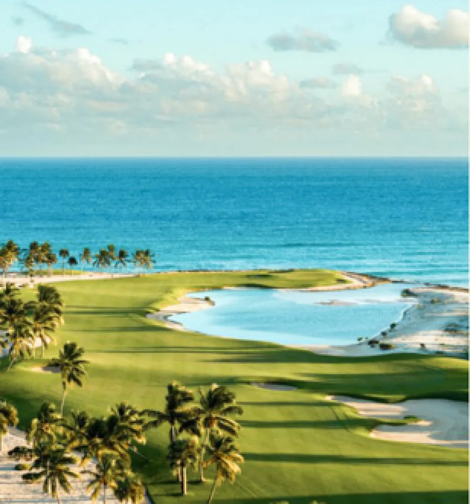 Project in Hard Rock Golf Club Cana Bay, photo 9