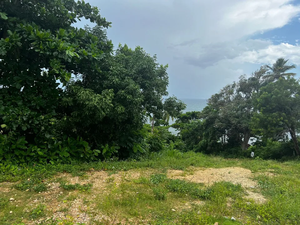Progetto a PUNTA BALANDRA, foto 7