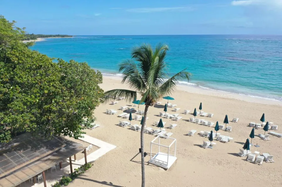 Project in Playa Dorada, photo 3