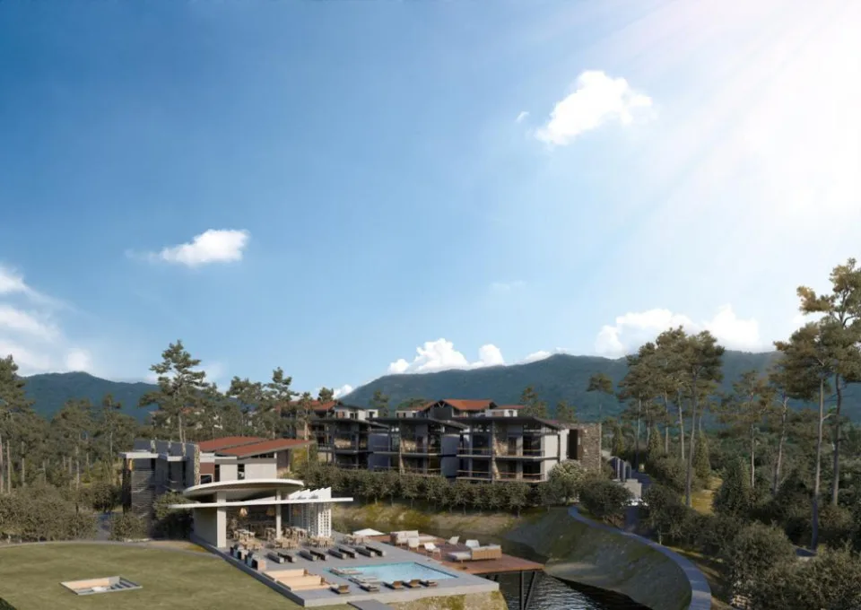 Projet à BUENA VISTA, photo 11