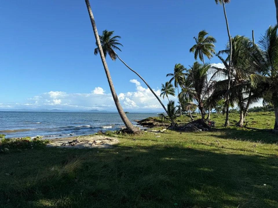 Project in SANTA BÁRBARA, photo 14