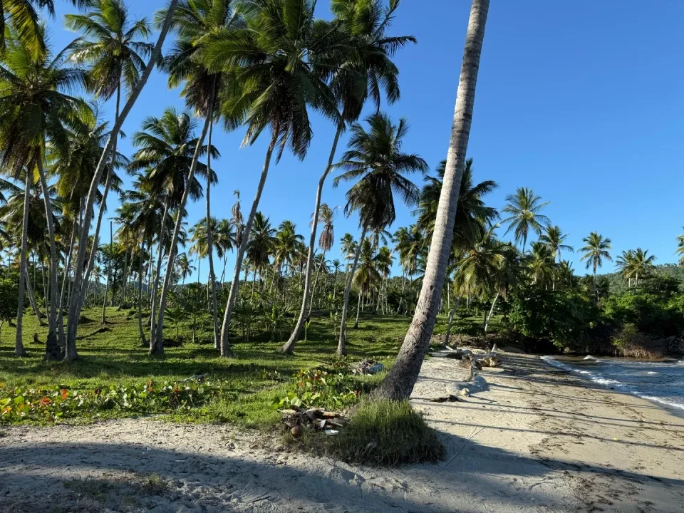 Project in SANTA BÁRBARA, photo 15