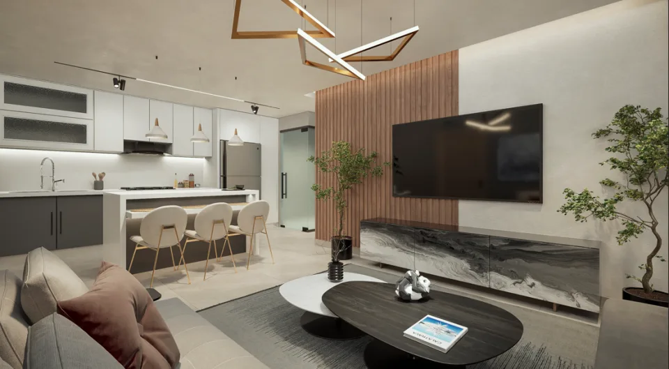 Projet en VILLA HERMOSA, photo 4